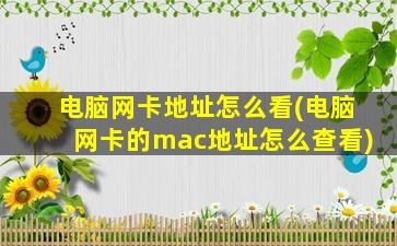 电脑网卡地址怎么看(电脑网卡的mac地址怎么查看)