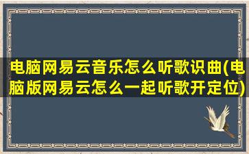 电脑网易云音乐怎么听歌识曲(电脑版网易云怎么一起听歌开定位)