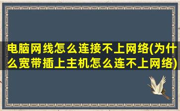 电脑网线怎么连接不上网络(为什么宽带插上主机怎么连不上网络)