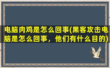 电脑肉鸡是怎么回事(黑客攻击电脑是怎么回事，他们有什么目的)