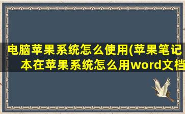 电脑苹果系统怎么使用(苹果笔记本在苹果系统怎么用word文档)