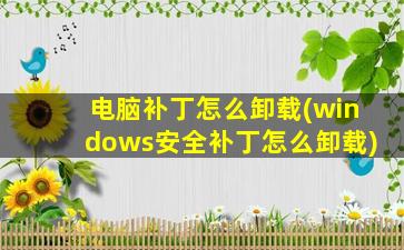 电脑补丁怎么卸载(windows安全补丁怎么卸载)