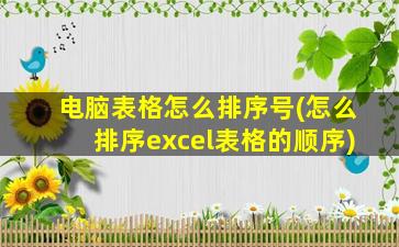 电脑表格怎么排序号(怎么排序excel表格的顺序)