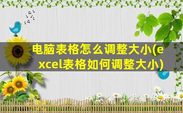 电脑表格怎么调整大小(excel表格如何调整大小)