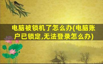 电脑被锁机了怎么办(电脑账户已锁定,无法登录怎么办)