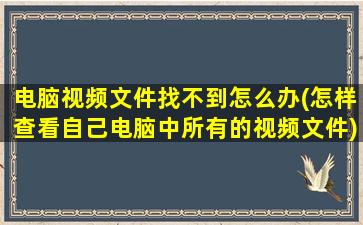 电脑视频文件找不到怎么办(怎样查看自己电脑中所有的视频文件)