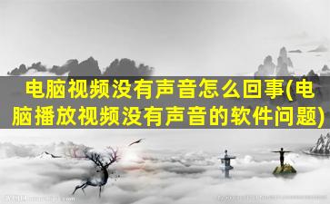 电脑视频没有声音怎么回事(电脑播放视频没有声音的软件问题)