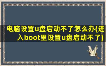 电脑设置u盘启动不了怎么办(进入boot里设置u盘启动不了)