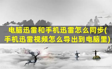 电脑迅雷和手机迅雷怎么同步(手机迅雷视频怎么导出到电脑里)