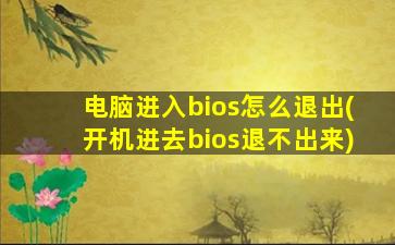 电脑进入bios怎么退出(开机进去bios退不出来)