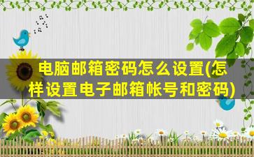 电脑邮箱密码怎么设置(怎样设置电子邮箱帐号和密码)