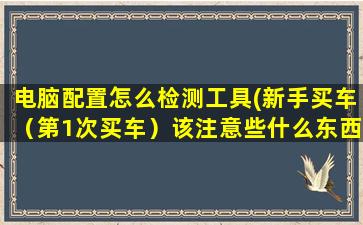 电脑配置怎么检测工具(新手买车（第1次买车）该注意些什么东西怎么检查车的配置)