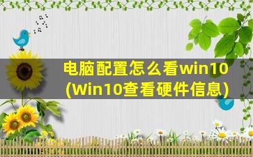 电脑配置怎么看win10(Win10查看硬件信息)