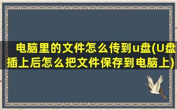 电脑里的文件怎么传到u盘(U盘插上后怎么把文件保存到电脑上)