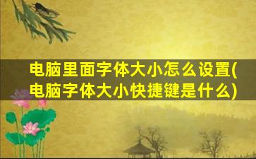 电脑里面字体大小怎么设置(电脑字体大小快捷键是什么)