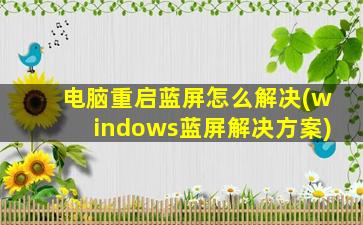 电脑重启蓝屏怎么解决(windows蓝屏解决方案)