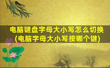 电脑键盘字母大小写怎么切换(电脑字母大小写按哪个键)