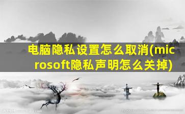 电脑隐私设置怎么取消(microsoft隐私声明怎么关掉)