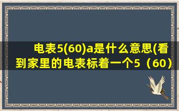 电表5(60)a是什么意思(看到家里的电表标着一个5（60）A，是什么意思)