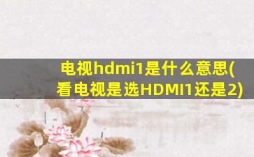 电视hdmi1是什么意思(看电视是选HDMI1还是2)