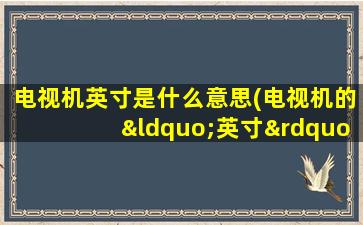 电视机英寸是什么意思(电视机的“英寸”指的是“对角线长度”吗)