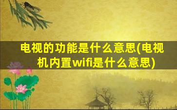 电视的功能是什么意思(电视机内置wifi是什么意思)