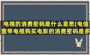 电视的消费密码是什么意思(电信宽带电视购买电影的消费密码是多少)