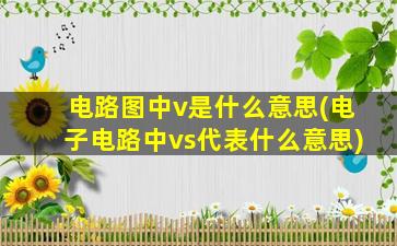 电路图中v是什么意思(电子电路中vs代表什么意思)