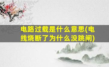 电路过载是什么意思(电线烧断了为什么没跳闸)