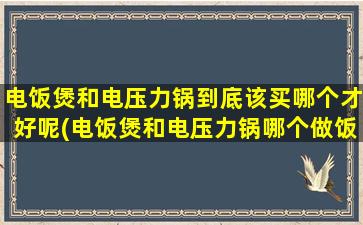 电饭煲和电压力锅到底该买哪个才好呢(电饭煲和电压力锅哪个做饭好)