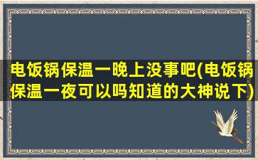 电饭锅保温一晚上没事吧(电饭锅保温一夜可以吗知道的大神说下)