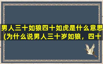 男人三十如狼四十如虎是什么意思(为什么说男人三十岁如狼，四十岁如虎)