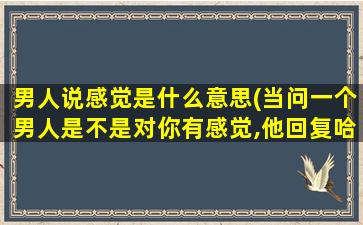 男人说感觉是什么意思(当问一个男人是不是对你有感觉,他回复哈哈哈什么意思)