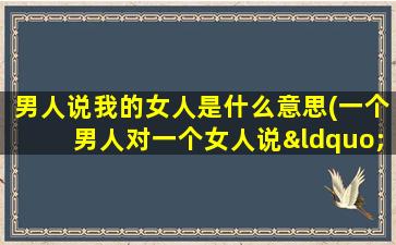 男人说我的女人是什么意思(一个男人对一个女人说“你是我的”其含义到底是什么)