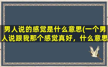 男人说的感觉是什么意思(一个男人说跟我那个感觉真好，什么意思)