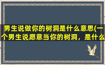 男生说做你的树洞是什么意思(一个男生说愿意当你的树洞，是什么意思吗)