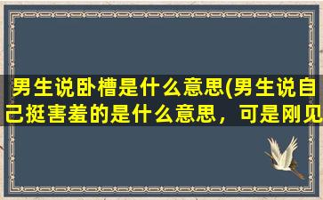 男生说卧槽是什么意思(男生说自己挺害羞的是什么意思，可是刚见面，之后就碰我，吻我)