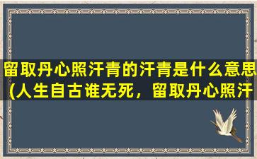 留取丹心照汗青的汗青是什么意思(人生自古谁无死，留取丹心照汗青中的汗青是什么意思)