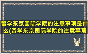 留学东京国际学院的注意事项是什么(留学东京国际学院的注意事项)