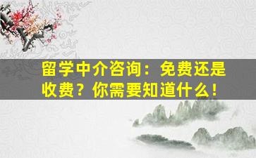 留学中介咨询：免费还是收费？你需要知道什么！