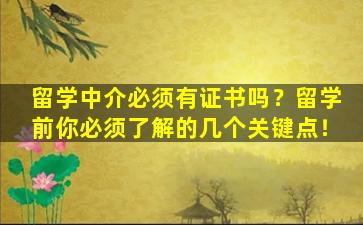 留学中介必须有证书吗？留学前你必须了解的几个关键点！