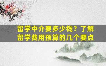 留学中介要多少钱？了解留学费用预算的几个要点