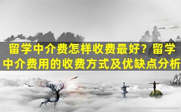 留学中介费怎样收费最好？留学中介费用的收费方式及优缺点分析