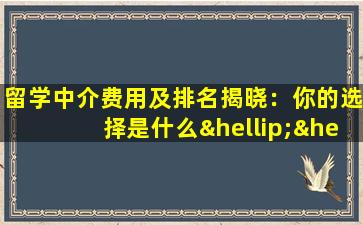 留学中介费用及排名揭晓：你的选择是什么……？