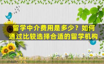 留学中介费用是多少？如何通过比较选择合适的留学机构