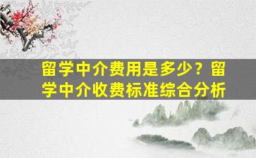 留学中介费用是多少？留学中介收费标准综合分析