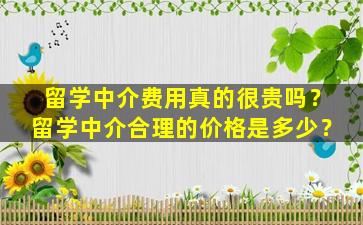 留学中介费用真的很贵吗？留学中介合理的价格是多少？