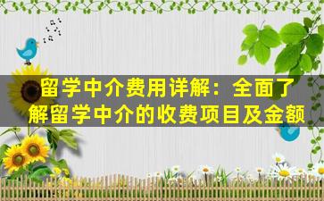 留学中介费用详解：全面了解留学中介的收费项目及金额