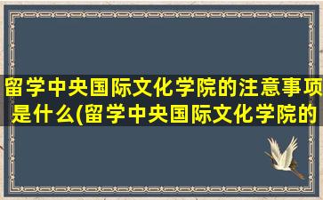 留学中央国际文化学院的注意事项是什么(留学中央国际文化学院的注意事项包括)