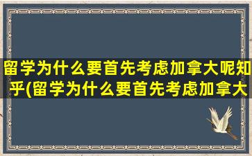 留学为什么要首先考虑加拿大呢知乎(留学为什么要首先考虑加拿大呢英文)